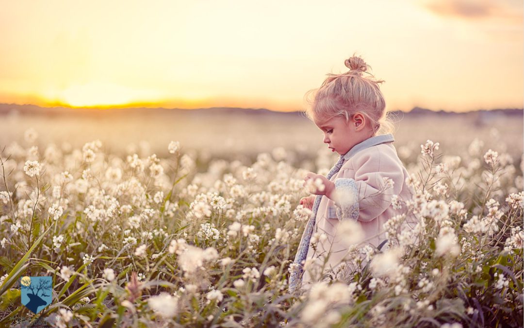 Olivia, una pequeña hada en la naturaleza