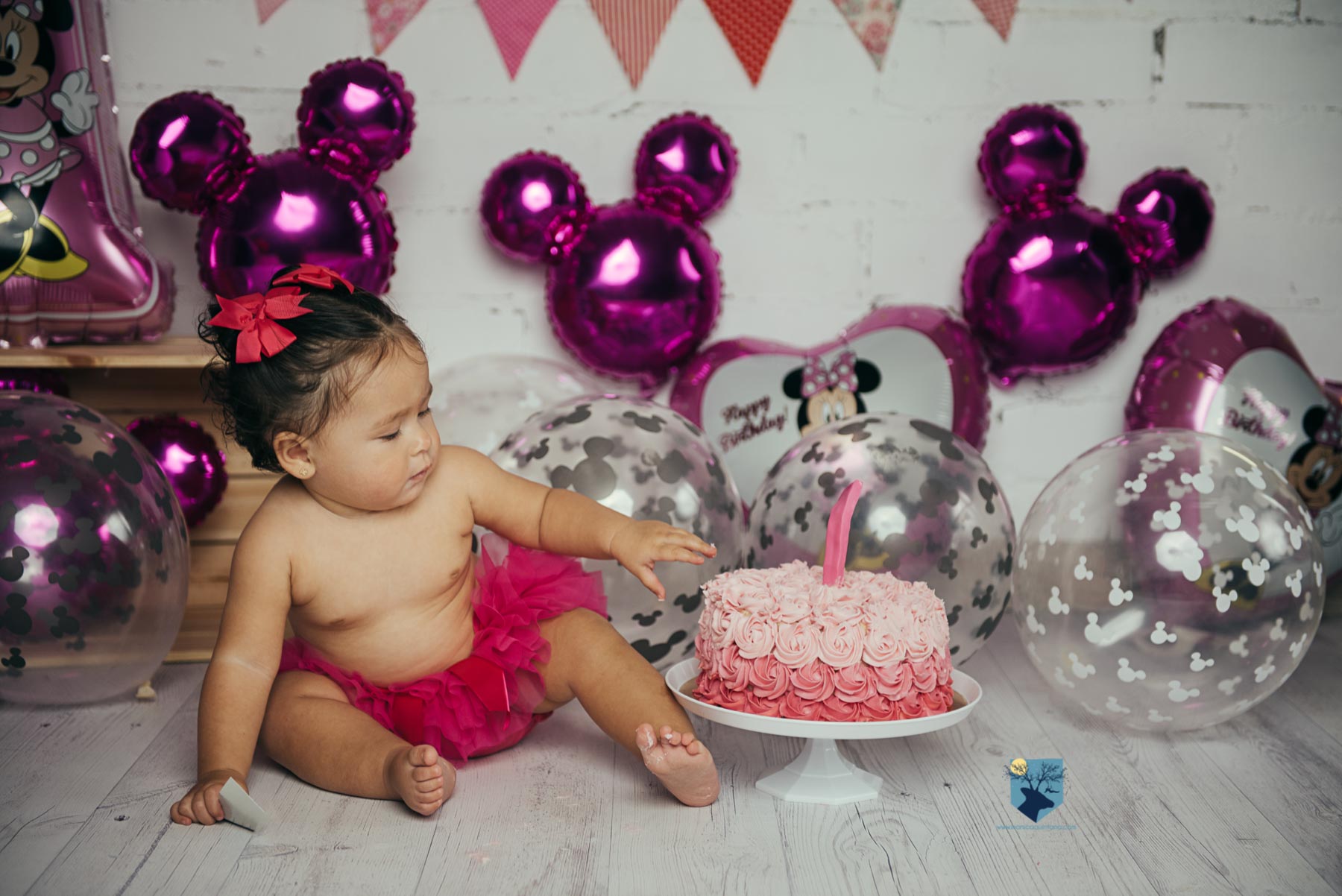 fotografia, fotos, girona, figueres, emporda, monica quintana, bebes, niños, familia, retrato, cumpleaños, un año, smash the cake