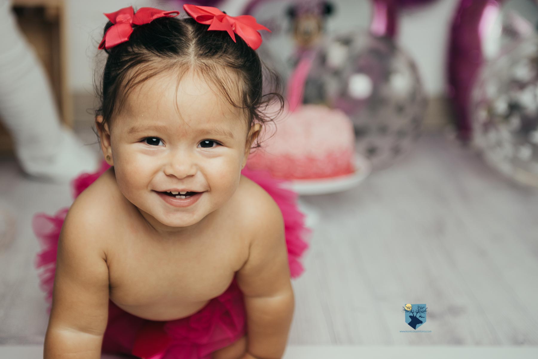 fotografia, fotos, girona, figueres, emporda, monica quintana, bebes, niños, familia, retrato, cumpleaños, un año, smash the cake