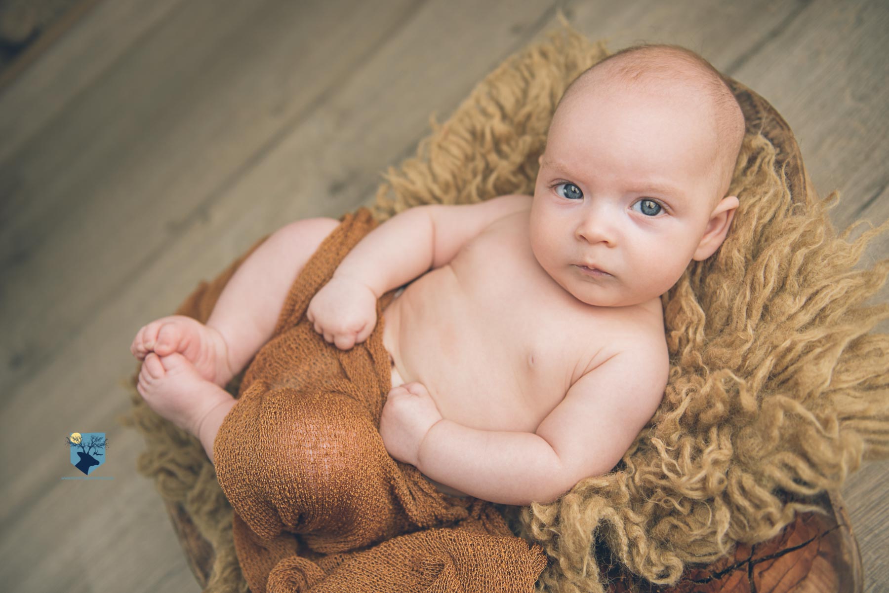 fotografia, fotos, girona,figueres, emporda, monica quintana, bebes,niños,familia,retrato,estudio,primer año, tres meses, 3 meses