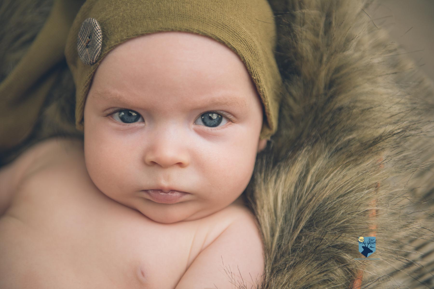 fotografia, fotos, girona,figueres, emporda, monica quintana, bebes,niños,familia,retrato,estudio,primer año, tres meses, 3 meses