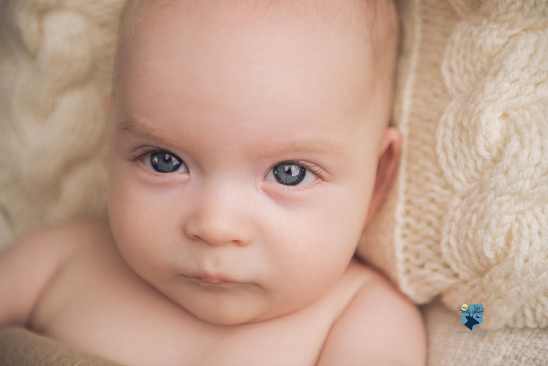 fotografia, fotos, girona,figueres, emporda, monica quintana, bebes,niños,familia,retrato,estudio,primer año, tres meses, 3 meses