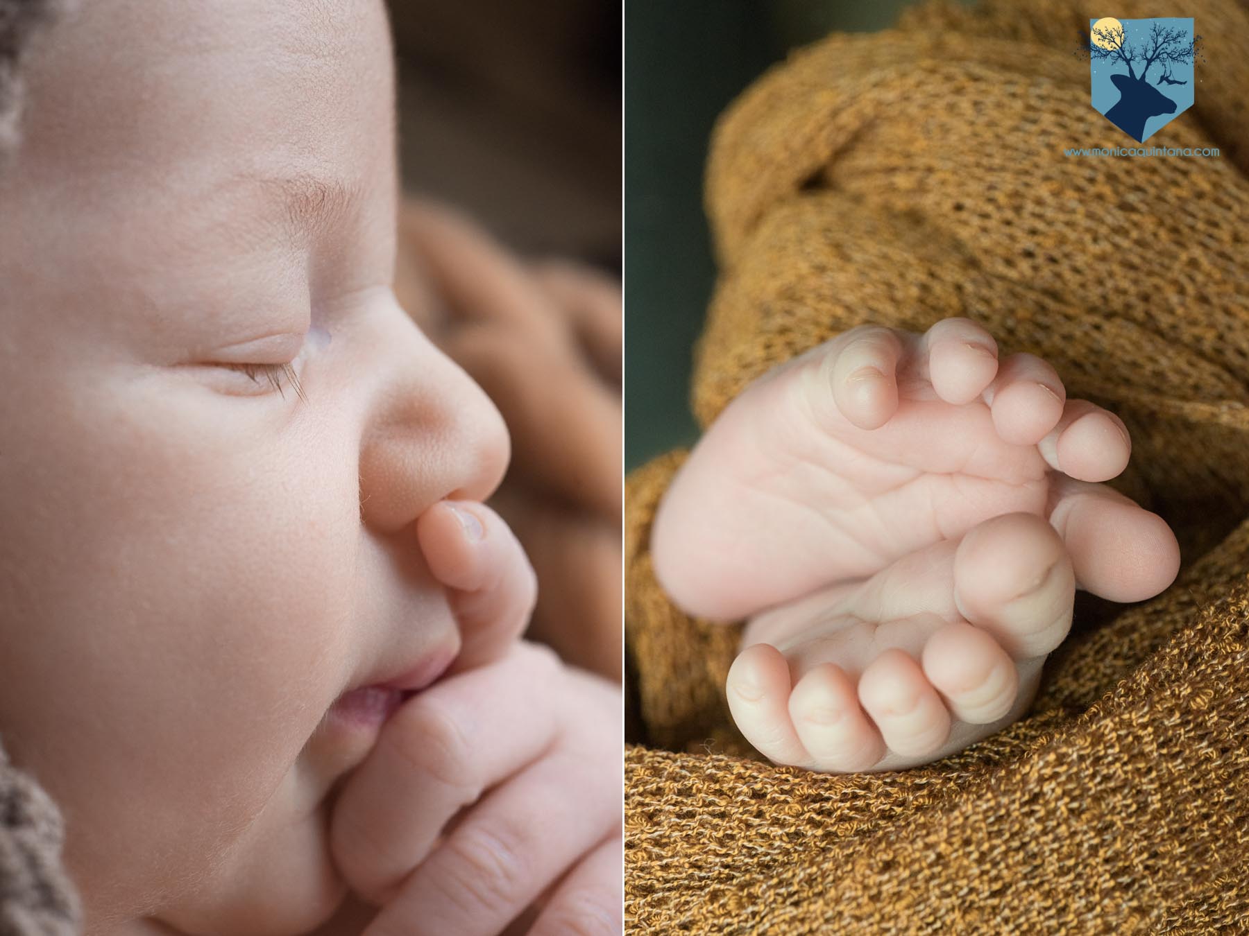 fotografia fotos girona figueres emporda monica quintana bebes niños recien nacido newborn familia retrato