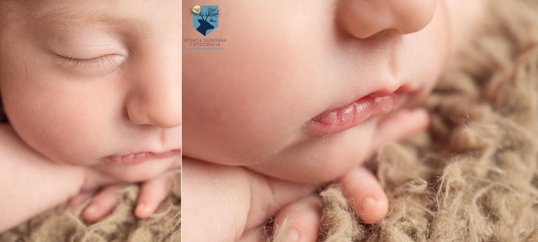 fotografia, fotos, girona, figueres, emporda, vilafant, vilamalla, monica quintana, bebes, niños, recien nacido, newborn, familia, retrato