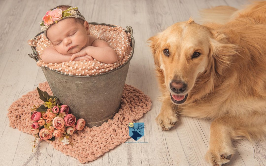 Fotos a recién nacida y su mascota