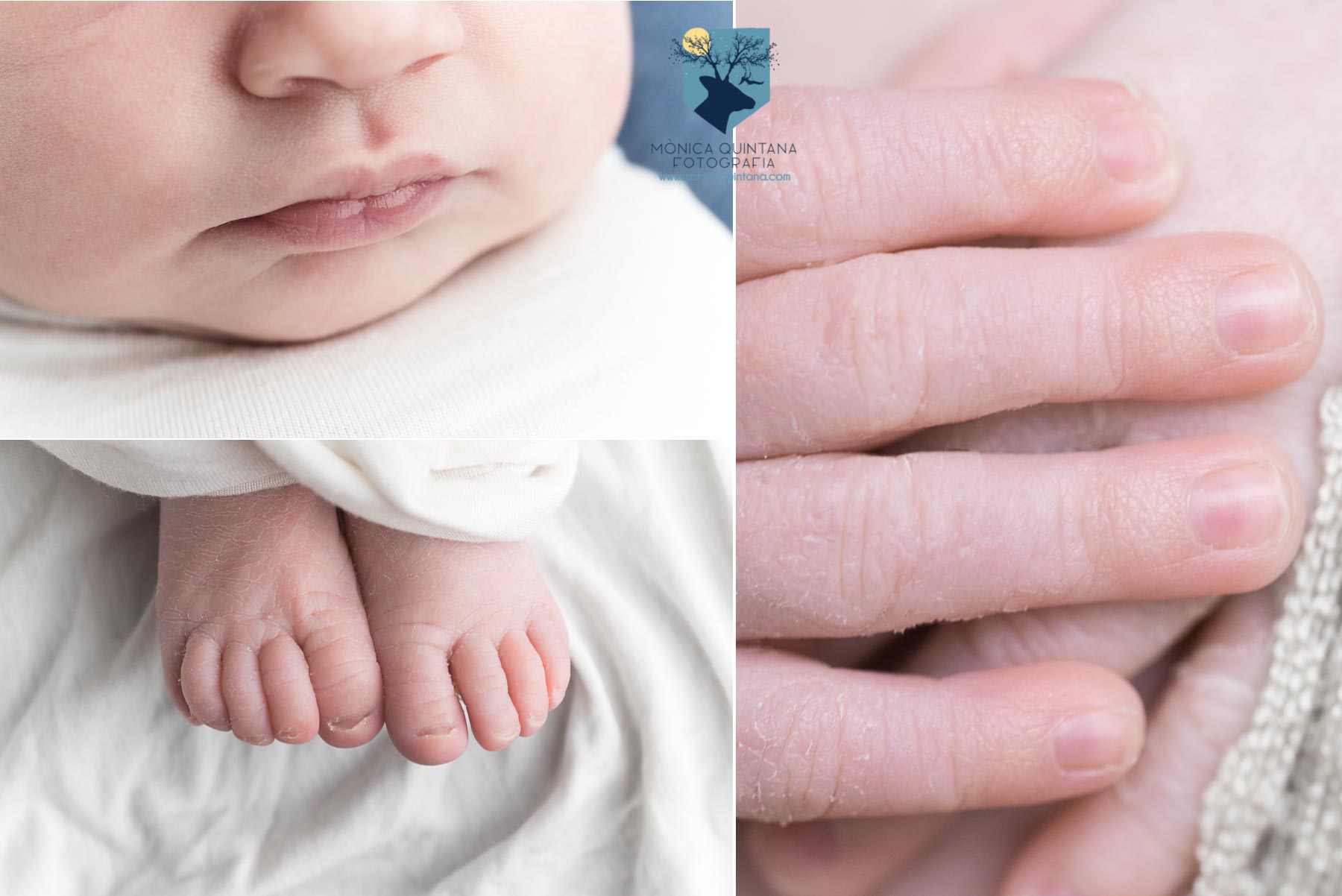 fotografia,fotos,girona,figueres,olot, roses, empuriabrava, la bisbal, L'escala, emporda,monica quintana,bebes,niños,recien nacido,newborn,familia,retrato,