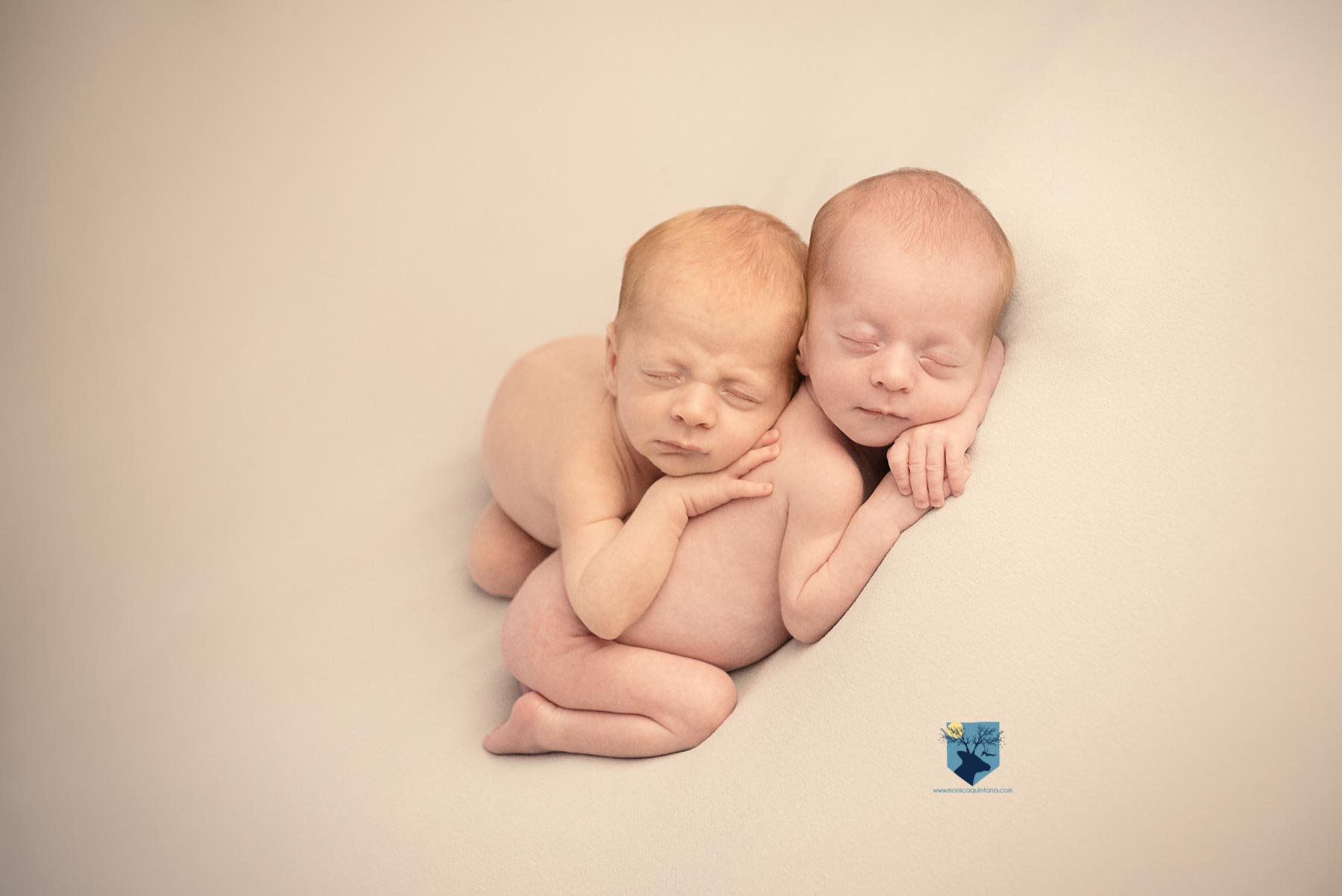 fotografia fotos fotografo fotografa fotograf girona figueres emporda, monica quintana, bebes niños, recien nacido, newborn familia retrato gemelos bessons nado fotos de gemelos recién nacidos