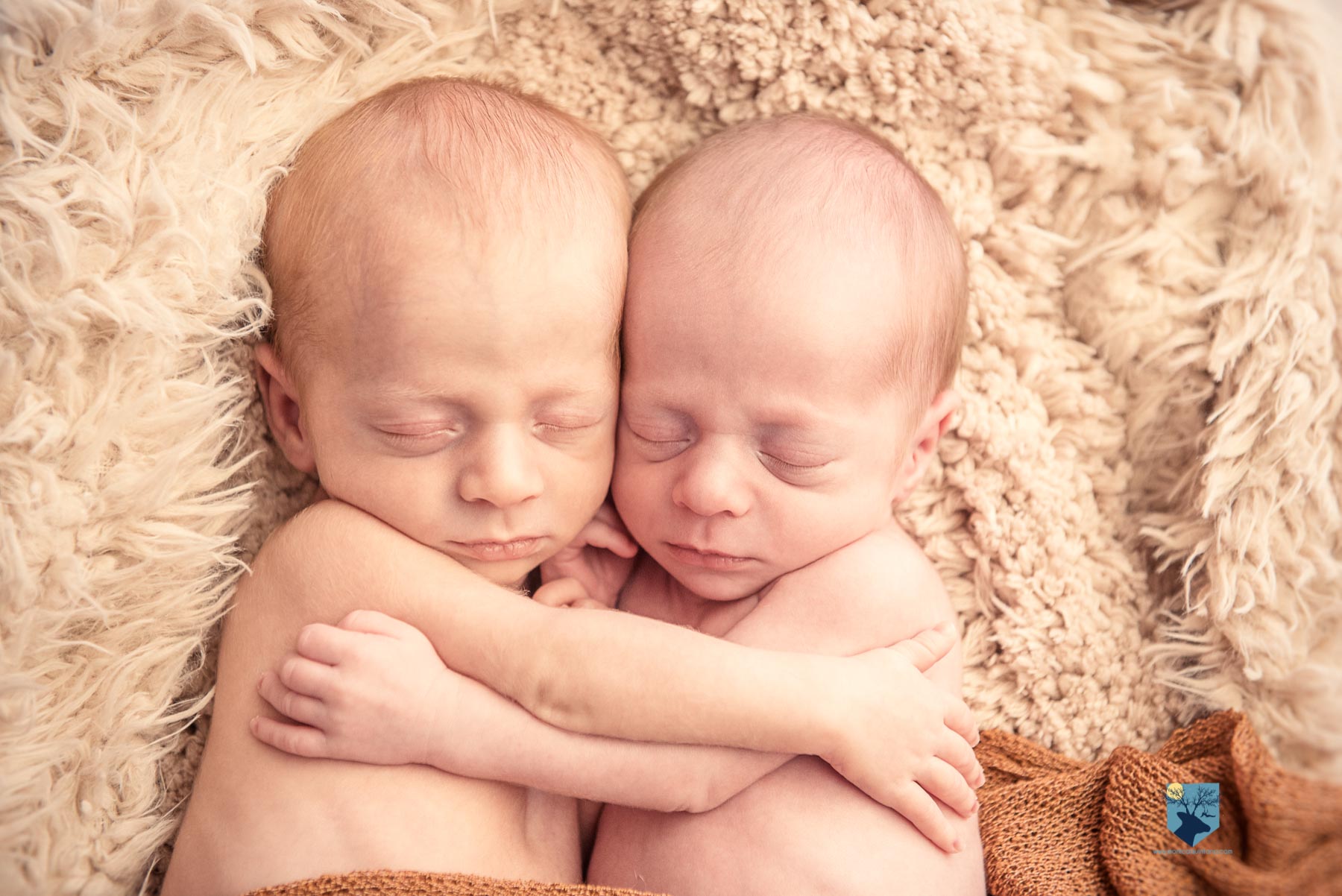fotografia fotos fotografo fotografa fotograf girona figueres emporda, monica quintana, bebes niños, recien nacido, newborn familia retrato gemelos bessons nado fotos de gemelos recién nacidos