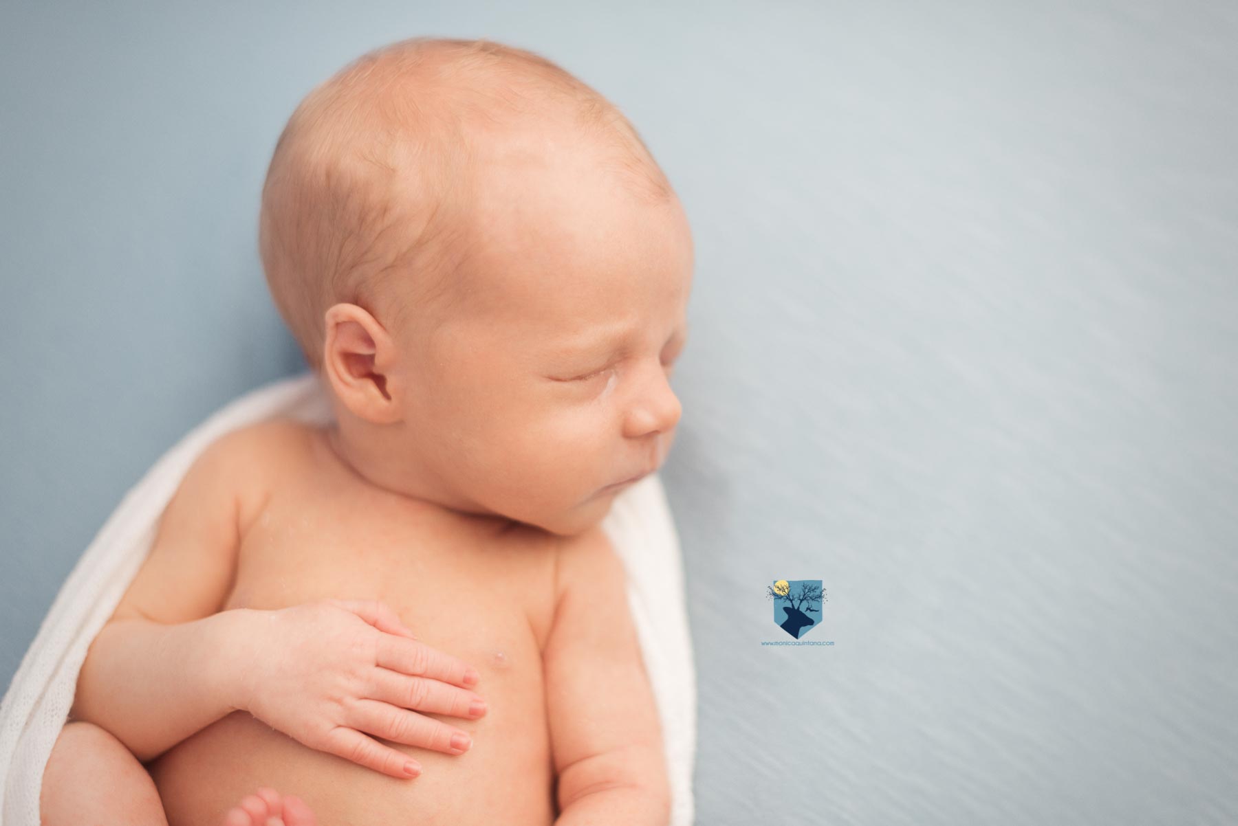 fotografia, girona, figueres, emporda, monica quintana, bebes, niños, familia, retrato, recien nacido, nado, newborn