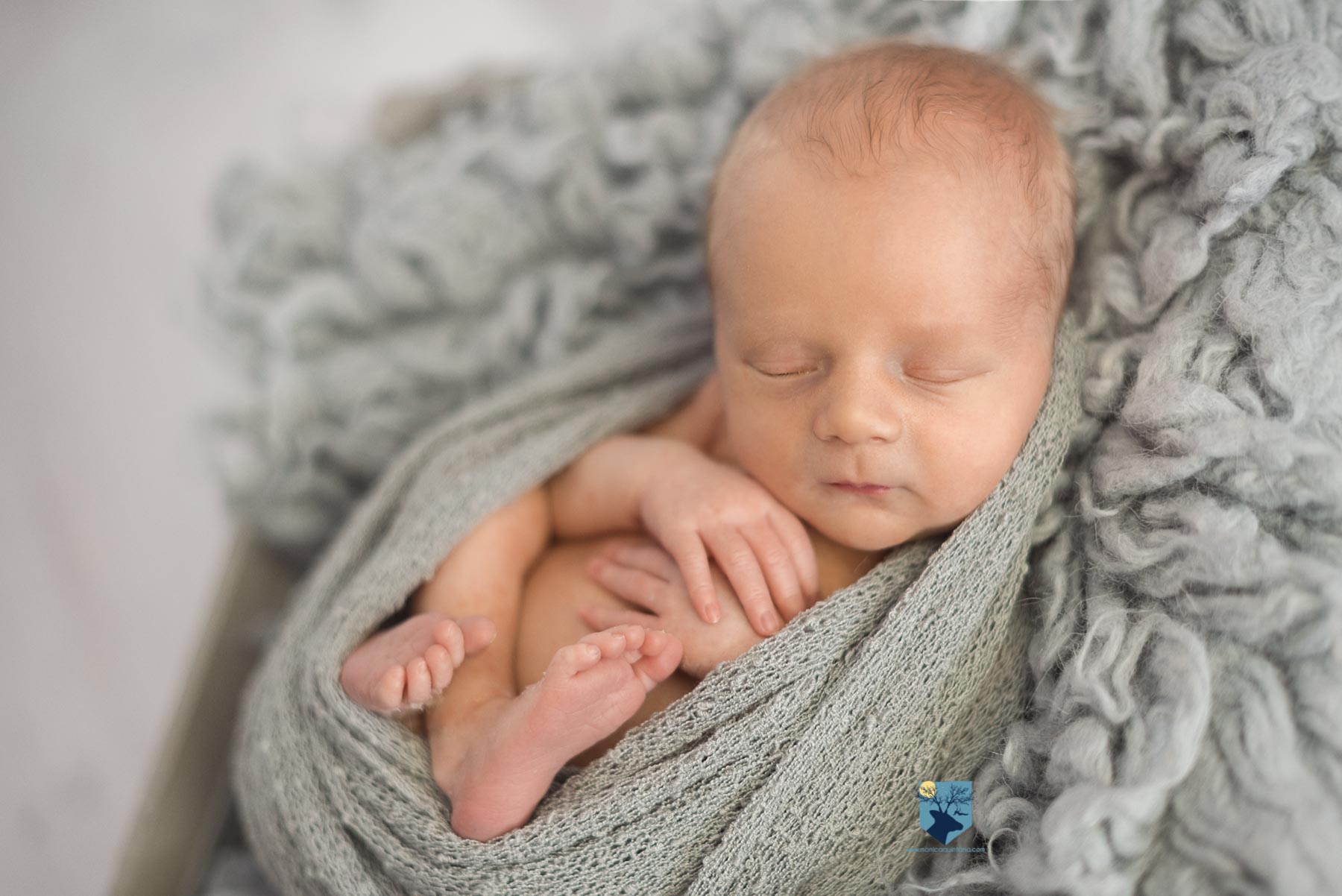 fotografia, girona, figueres, emporda, monica quintana, bebes, niños, familia, retrato, recien nacido, nado, newborn