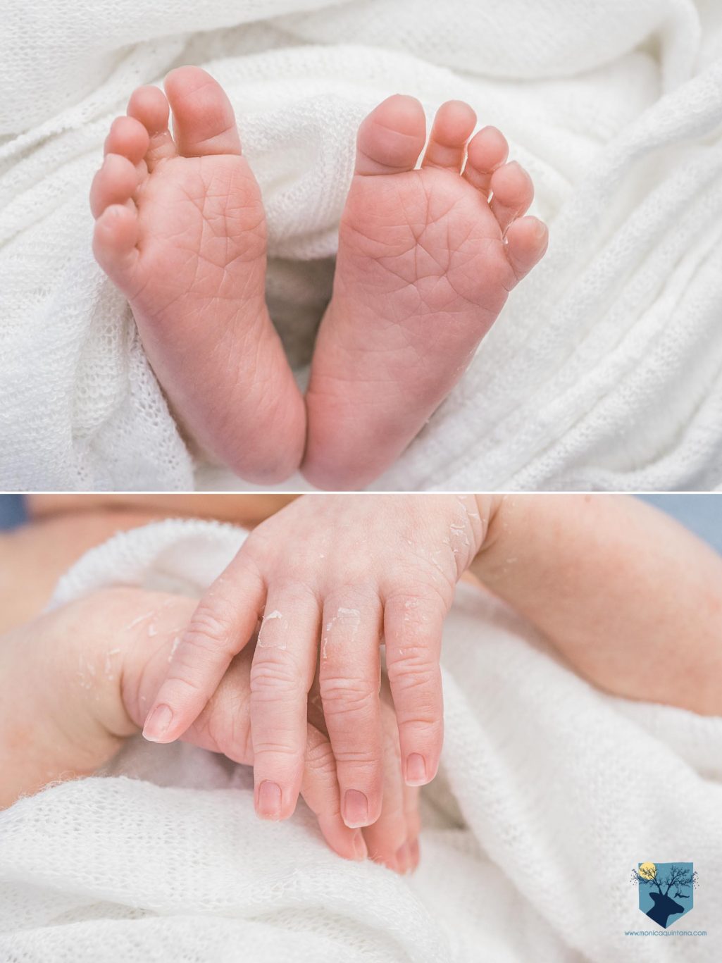 fotografia, girona, figueres, emporda, monica quintana, bebes, niños, familia, retrato, recien nacido, nado, newborn