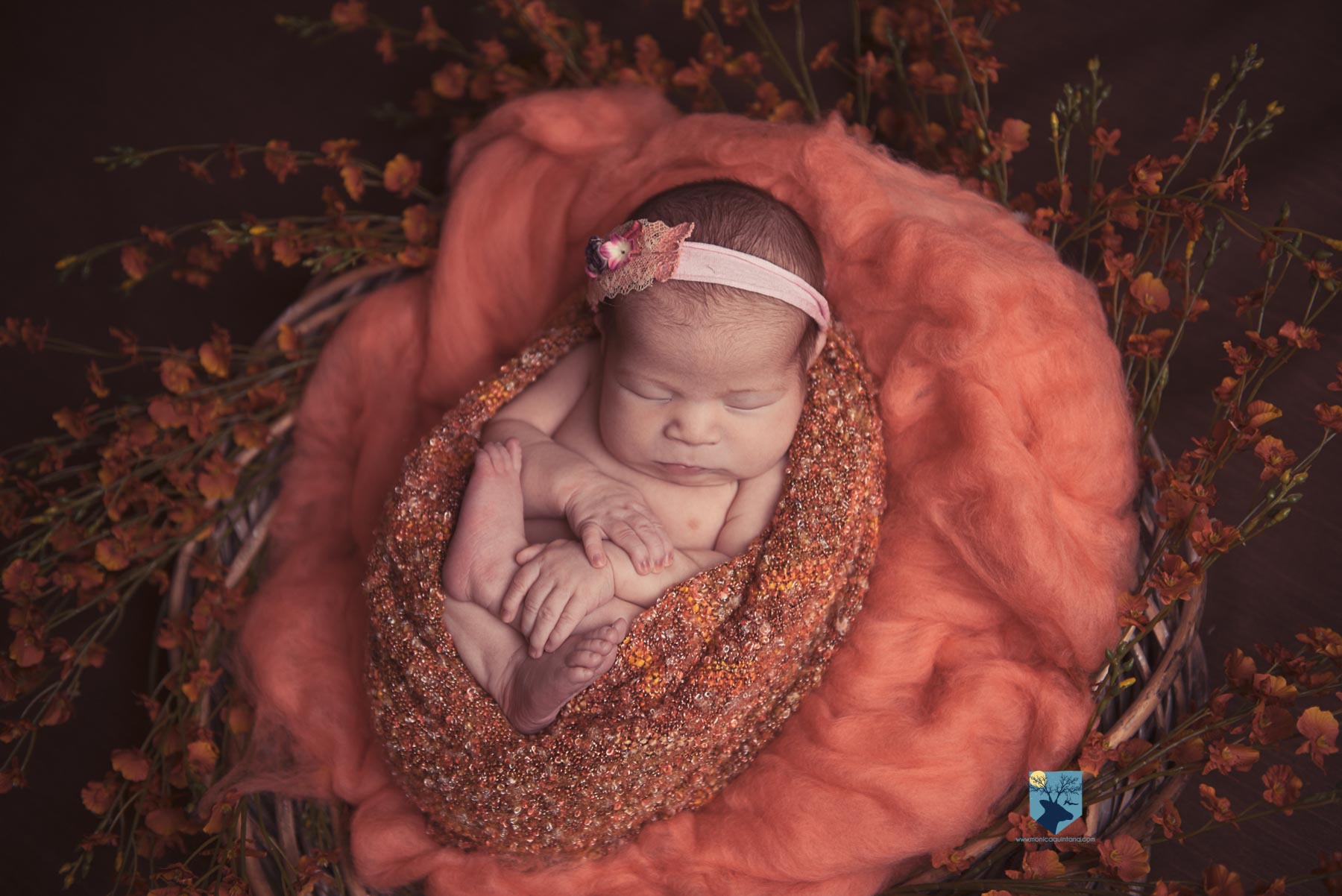 fotografia,girona,figueres,emporda,monica quintana,bebes,niños,familia,retrato,recien,nacido,nado,newborn,bebe arcoiris