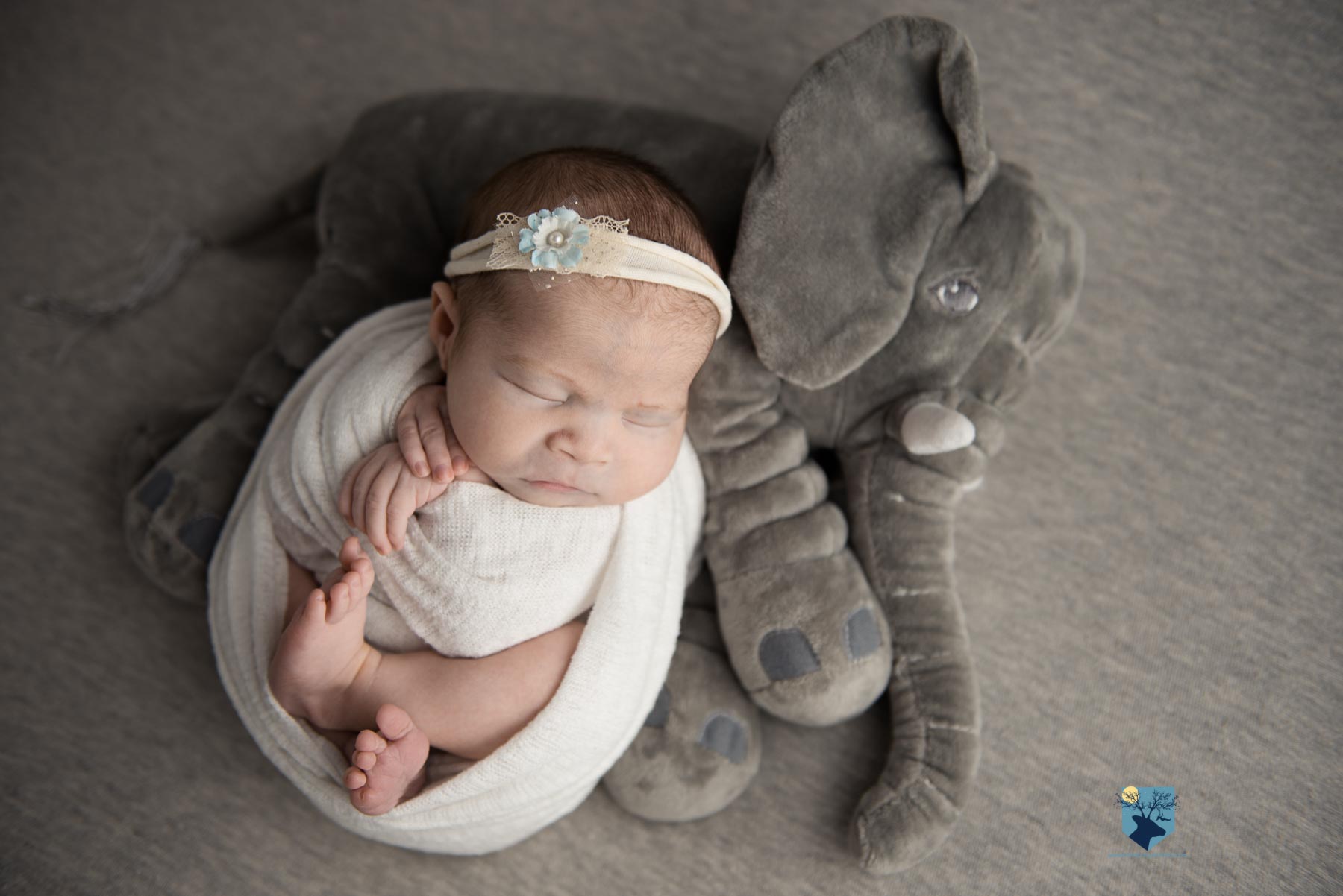 fotografia,girona,figueres,emporda,monica quintana,bebes,niños,familia,retrato,recien,nacido,nado,newborn,bebe arcoiris