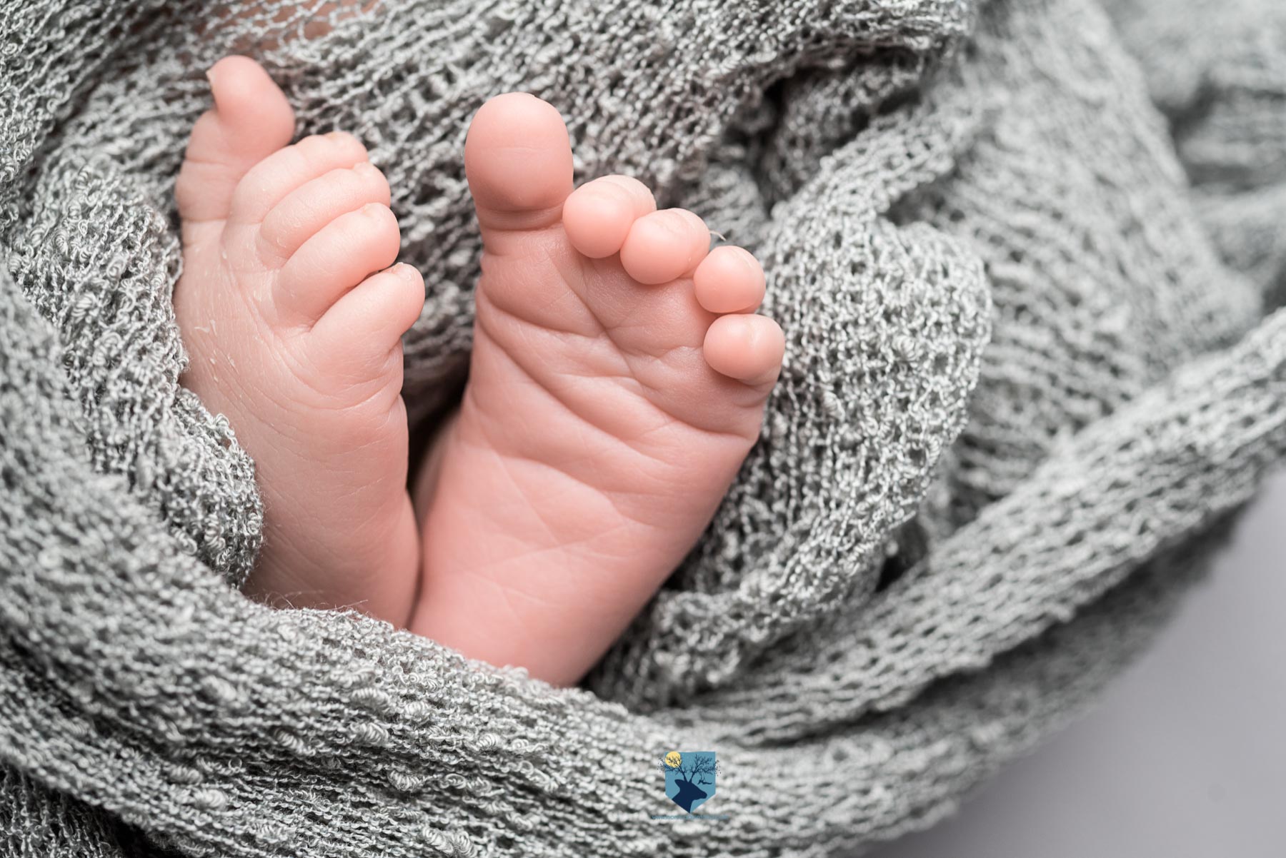 fotografia,girona,figueres,emporda,monica quintana,bebes,niños,familia,retrato,recien,nacido,nado,newborn,olot