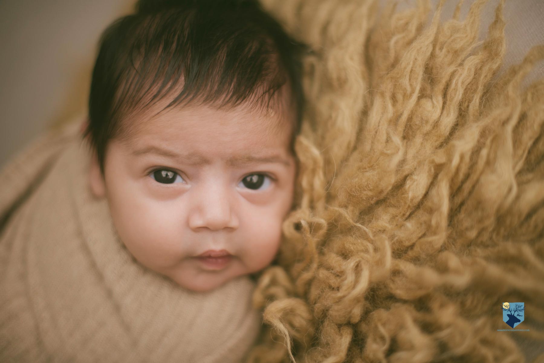 fotografia,girona,figueres,emporda,monica quintana,bebes,niños,familia,retrato,recien,nacido,nado,newborn,sarria de ter